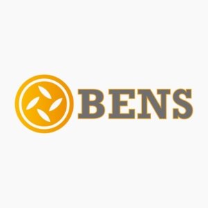 Logo ontwerp - Bens Camper- en Caravanservice